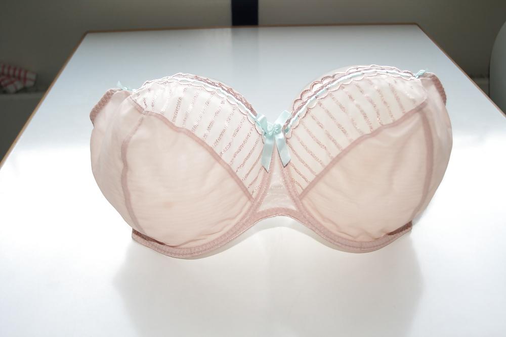 13P H cup bra