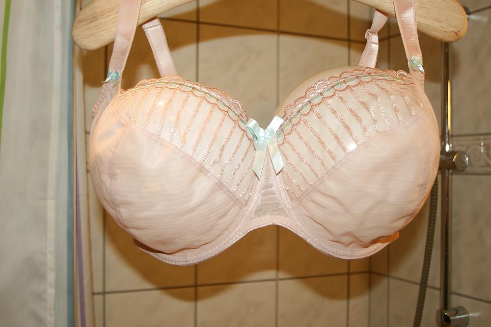 13P H cup bra