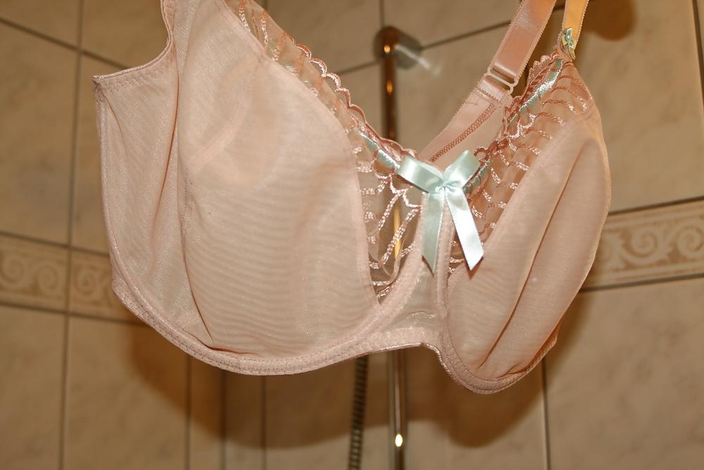 13P H cup bra