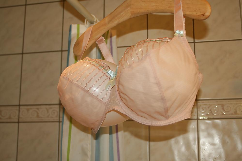 13P H cup bra