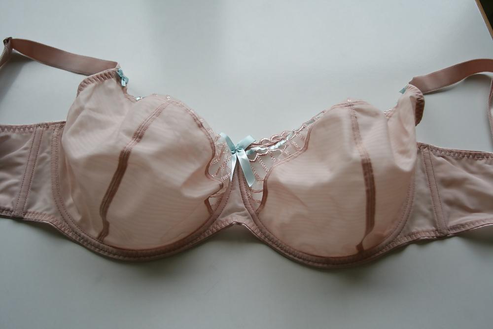 13P H cup bra