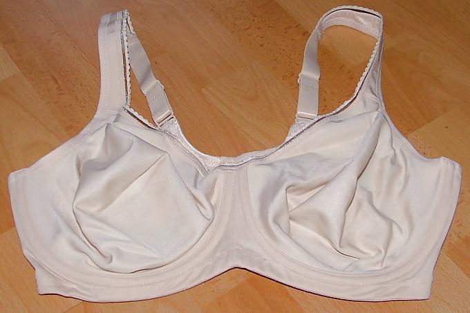 25P Bra from the net 2