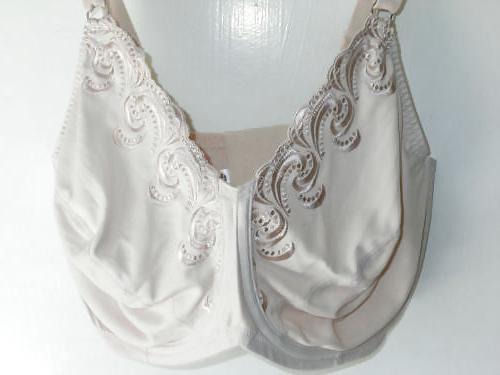 25P Bra from the net 2
