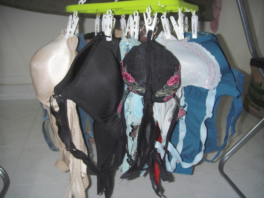 25P My Personal Bra Collection