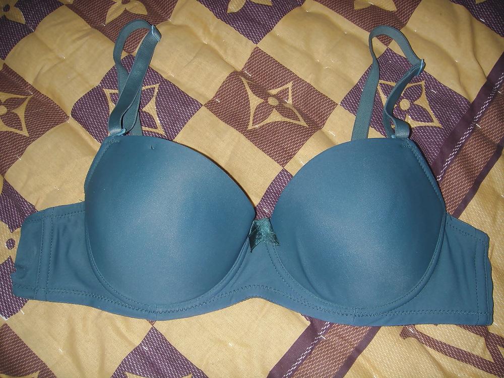 25P My Personal Bra Collection