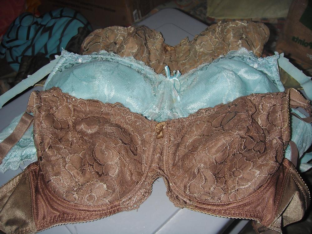 25P My Personal Bra Collection