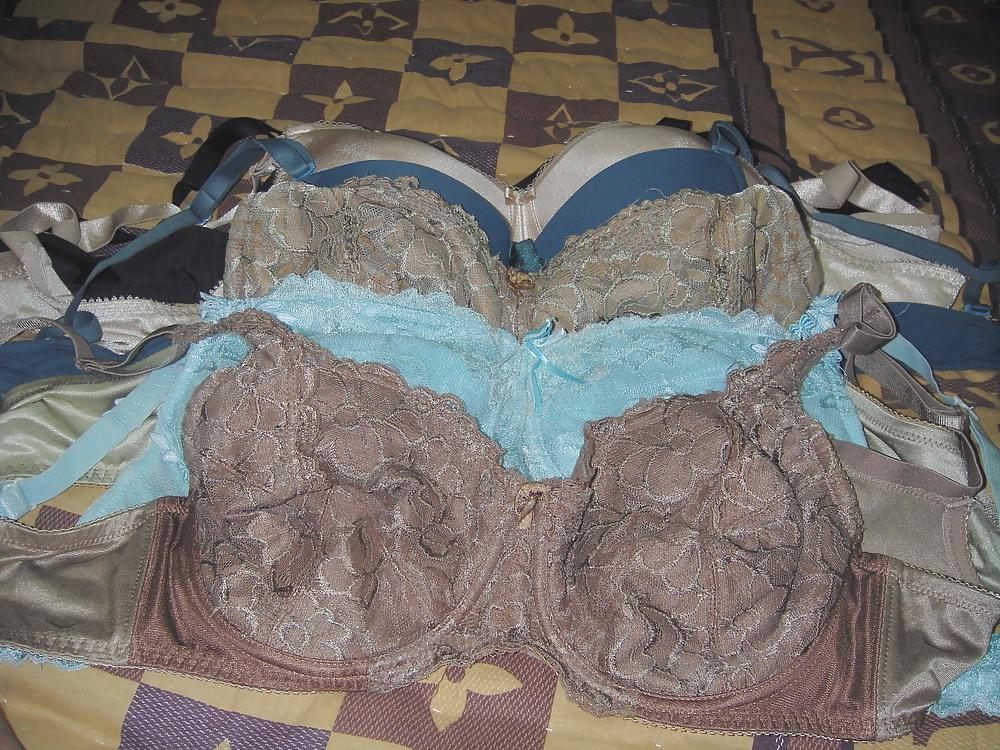 25P My Personal Bra Collection