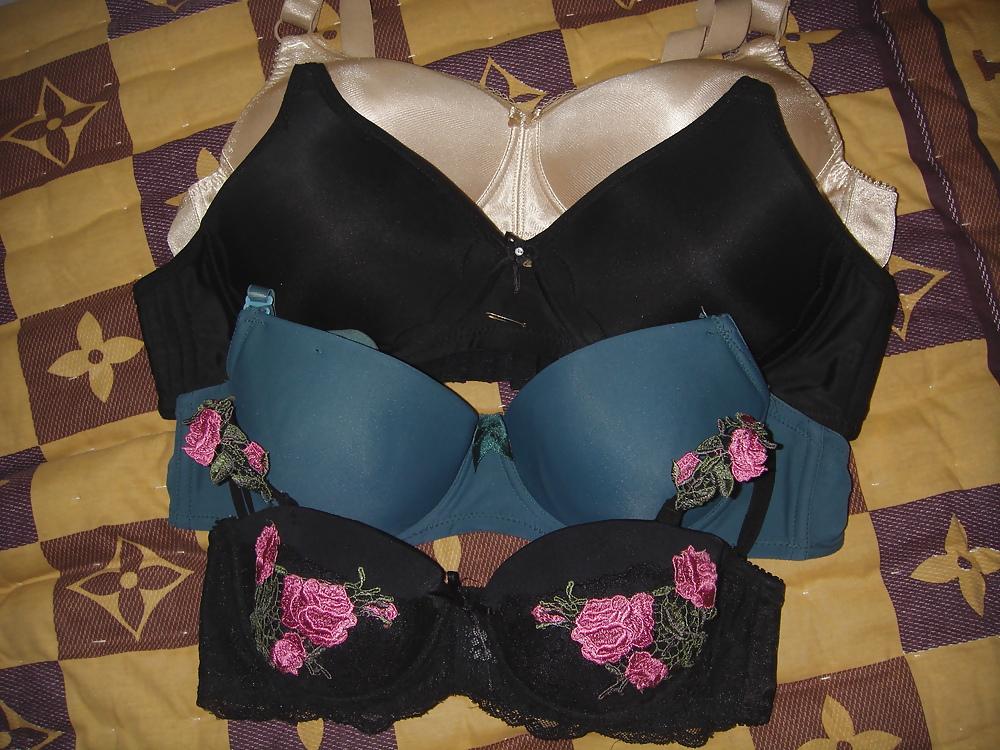 25P My Personal Bra Collection