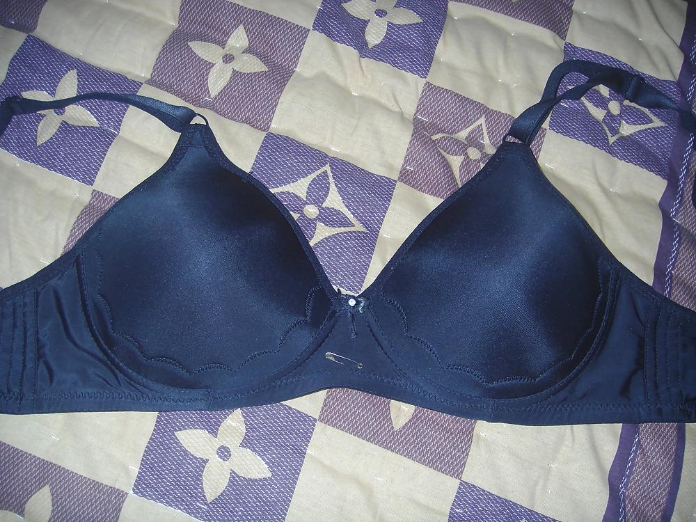 25P My Personal Bra Collection