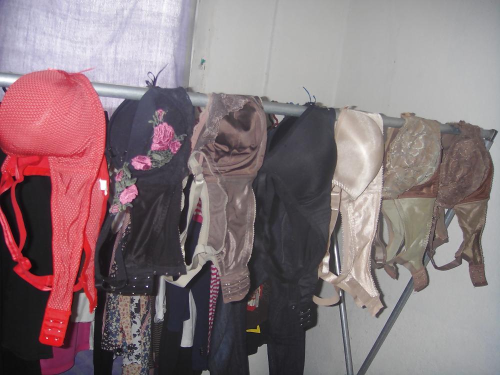 25P My Personal Bra Collection