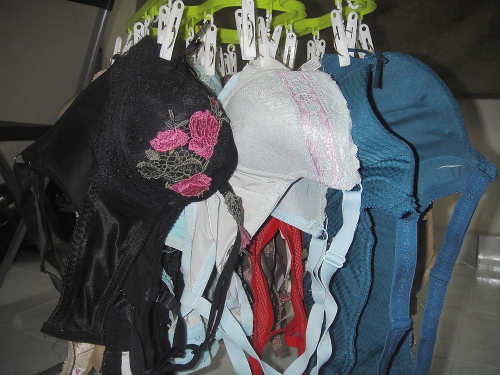 25P My Personal Bra Collection