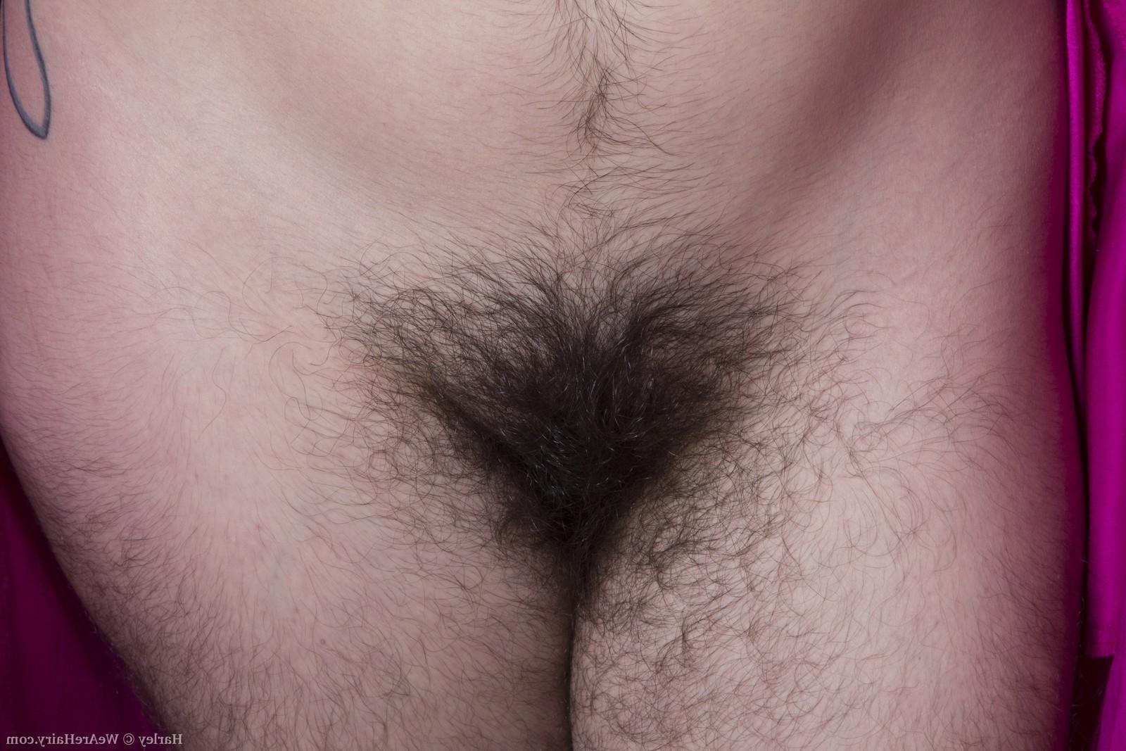 15P Sexy bath time with very hairy Harley