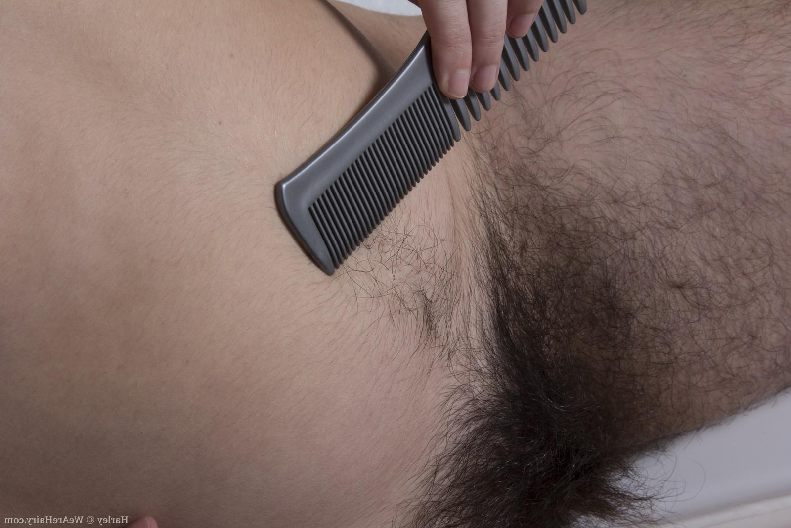 15P Sexy bath time with very hairy Harley
