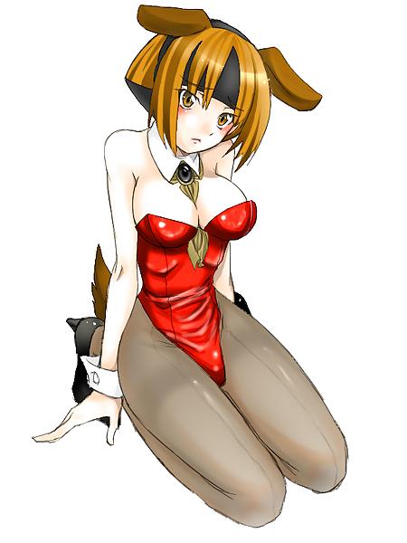 25P Pantyhose & Tights Anime-Manga-Hentai Vol 16: Pokemon 1.