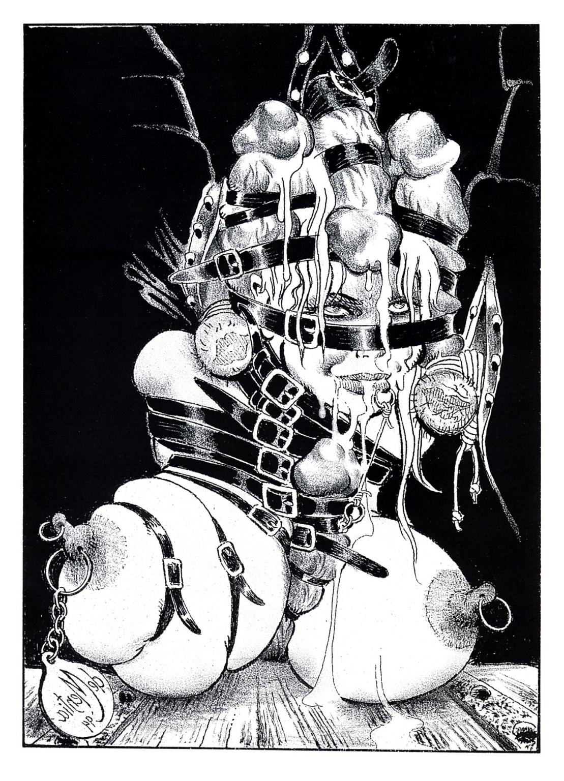 12P Two chicks tortured in wild bdsm comix