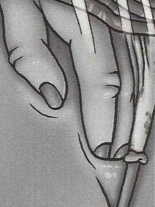 12P Comics with woman caught masturbating in the toilet