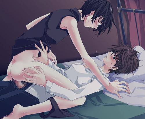 12P Shemales like cute gay guys