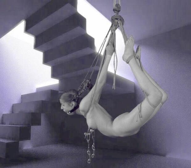 15P insane painful female sexual bondage artworks