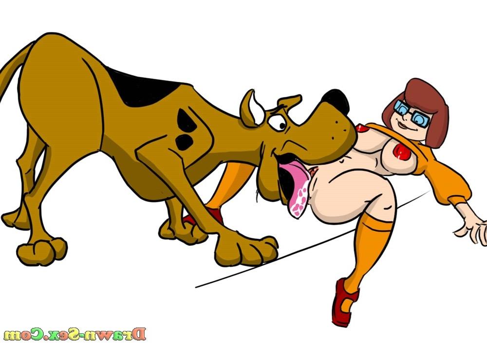 10P Scooby Doo in porn cartoons!