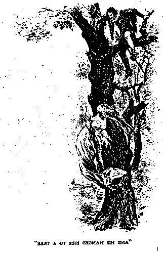 15P bizarre female rope strangle artwork horrible pain