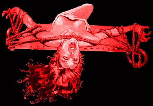 15P bizarre painful female sexual bondage and fetish artworks