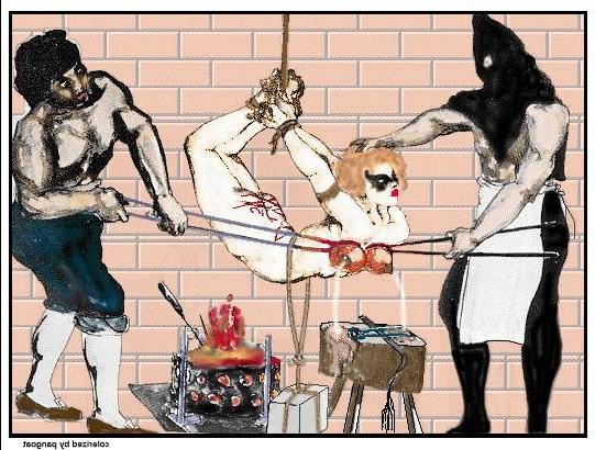 15P bizarre painful female sexual bondage and fetish artworks