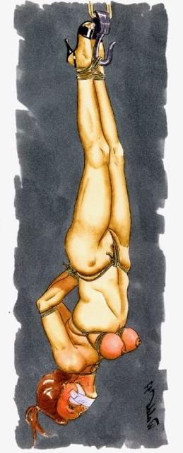 15P evil female dungeon artworks and bondage pain drawings