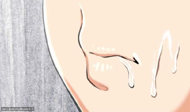 20P Sweet anime girls fucking and sucking hard dicks