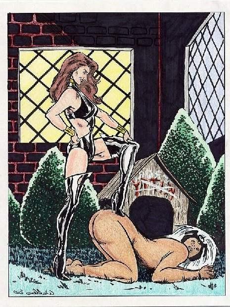 15P painful bizarre sexual female bondage art