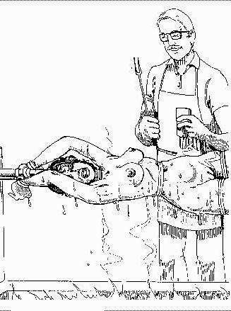 15P insane and evil horror bondage art