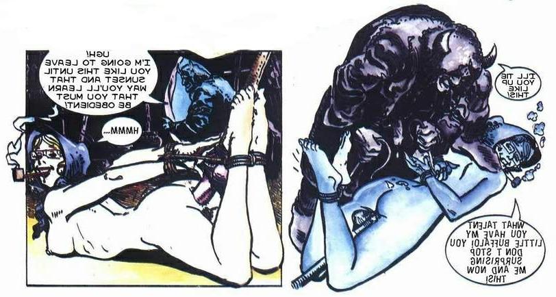 16P Western sex adult comics series