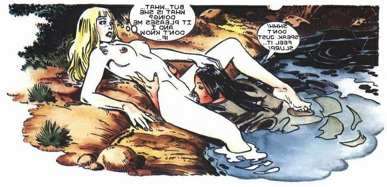 16P Western sex adult comics series