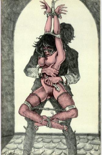 15P thin and beautiful women in bdsm art
