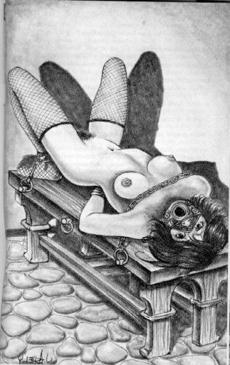 15P thin and beautiful women in bdsm art