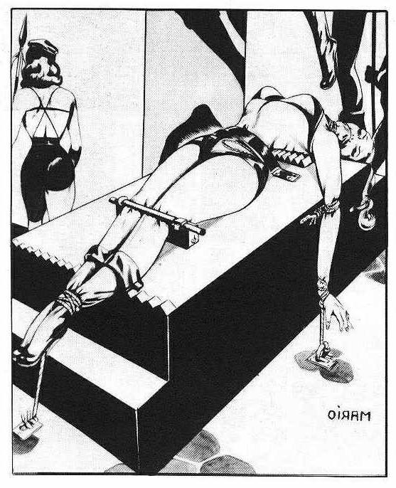 15P busty women in classic bondage artworks