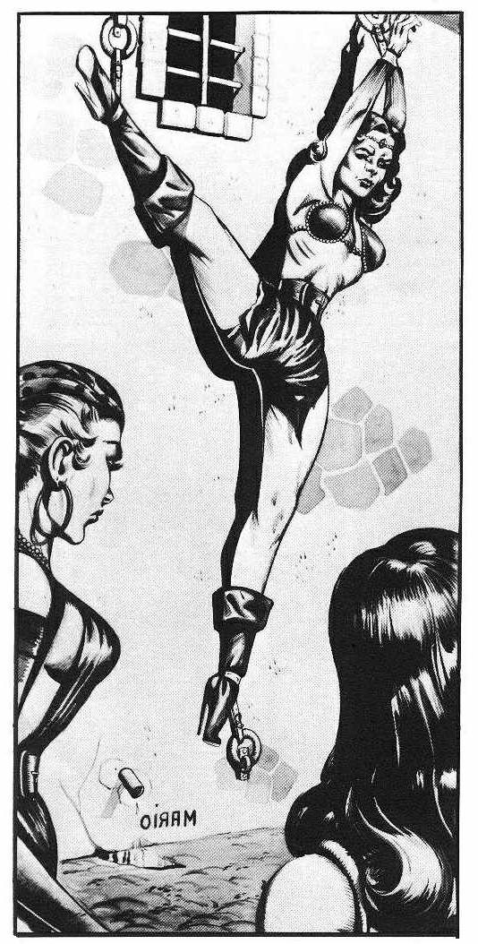 15P busty women in classic bondage artworks