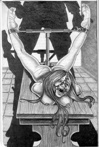 15P bondage machines and leather strap art