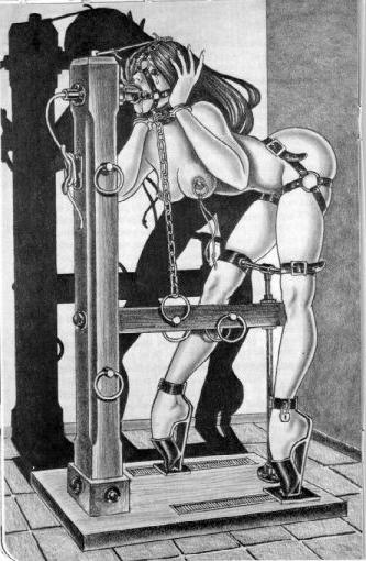 15P bondage machines and leather strap art