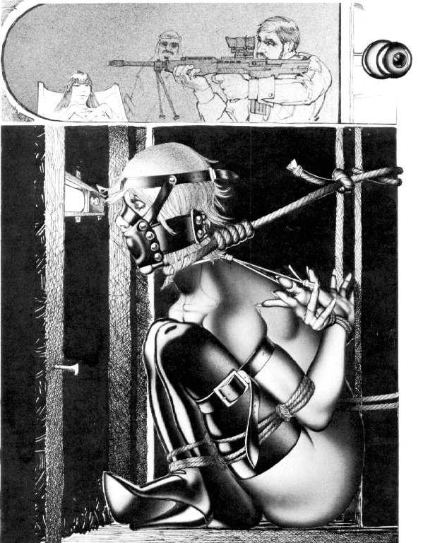 15P vintage bondage drawings of beautiful women