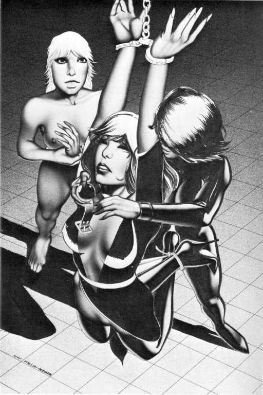 15P vintage bondage drawings of beautiful women