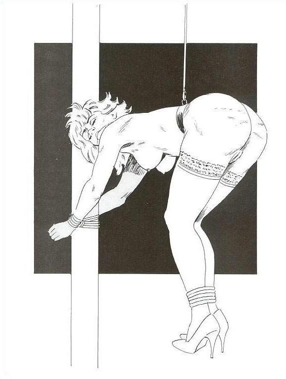 15P extremely erotic hardcore bondage art