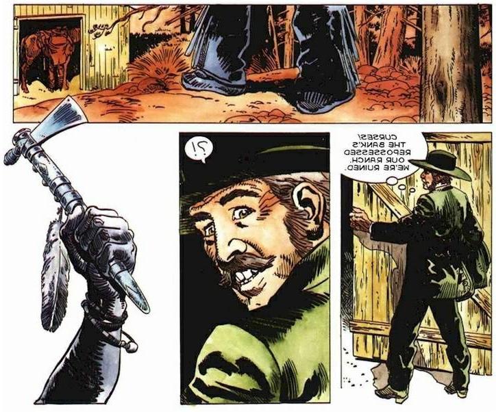 16P Western sex adult comics
