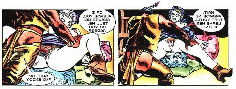 16P Western sex adult comics