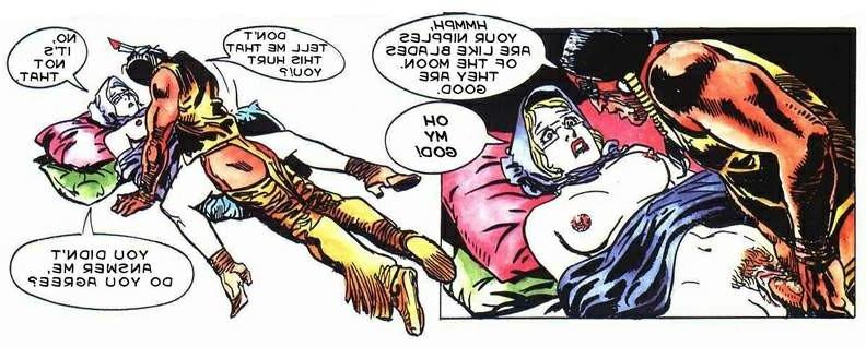 16P Western sex adult comics