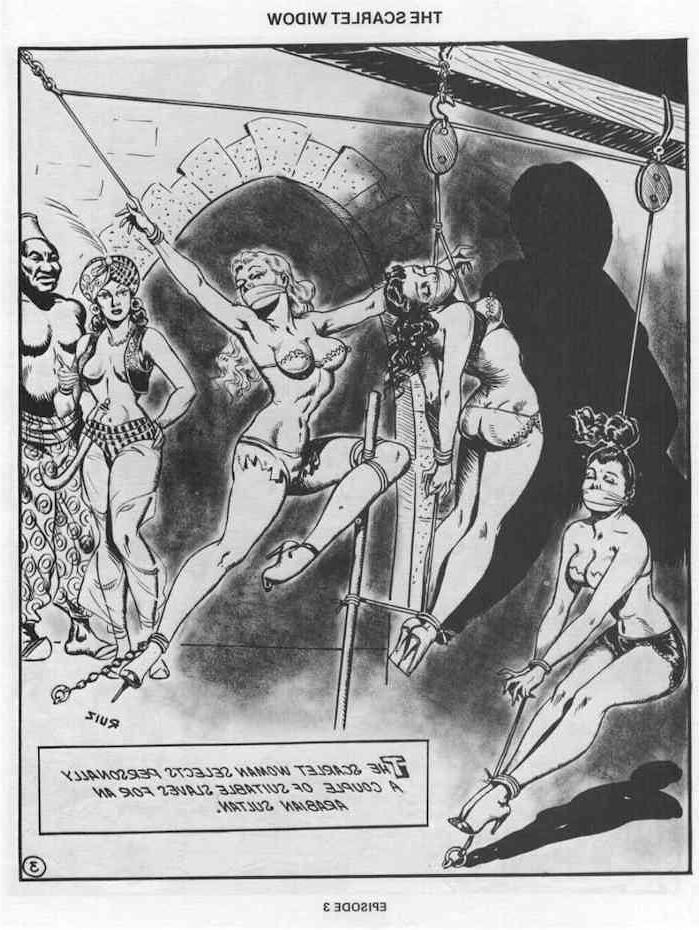 15P vintage evil lesbian bondage comic