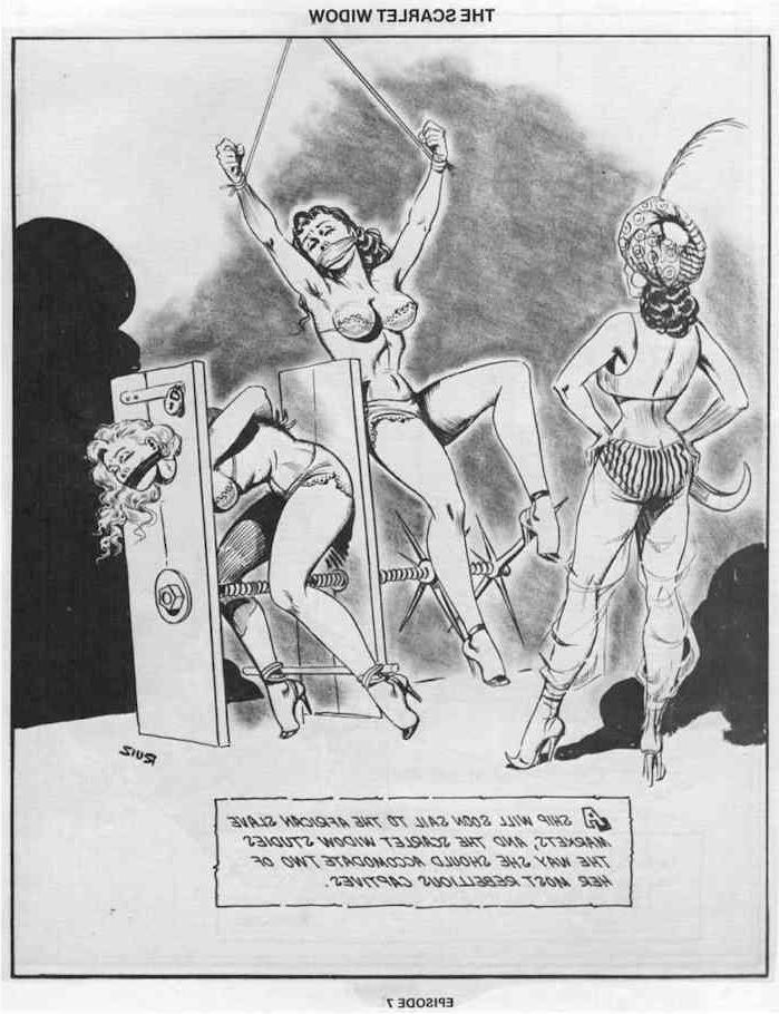 15P vintage evil lesbian bondage comic