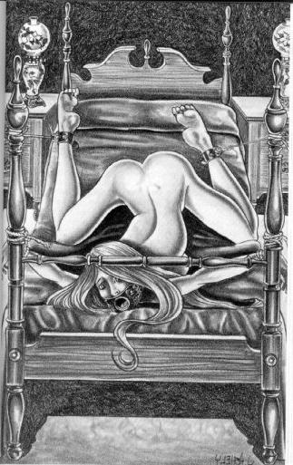 15P beautiful girls in sever bdsm artworks