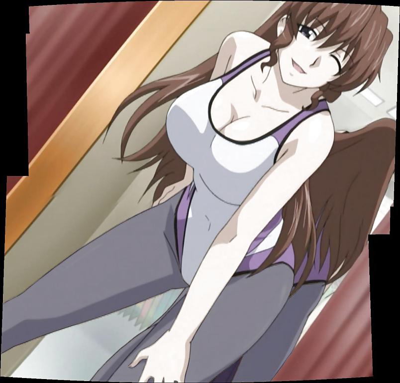 25P Pantyhose & Tights Anime-Manga-Hentai Vol 21: Photoshops 2.