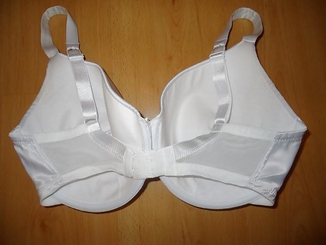 22P Bra shot