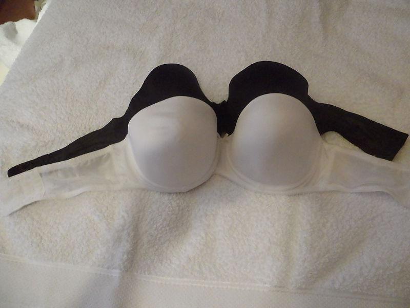 22P Bra shot